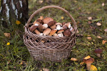 Similar image 22435606