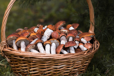 Similar image 22435607