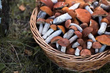 Similar image 22435608