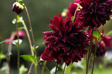 Similar image 22435609