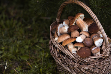 Similar image 22435610