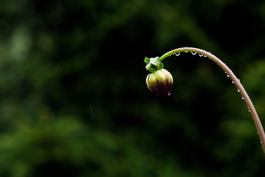 Similar image 22435611