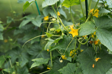 Similar image 22435612