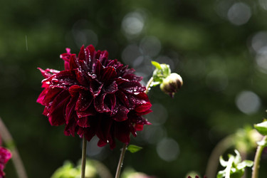 Similar image 22435613