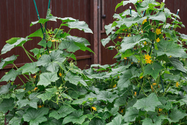 Similar image 22435614