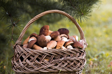 Similar image 22435615