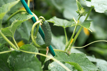 Similar image 22435616