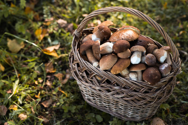 Similar image 22435617