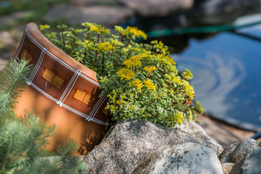 Similar image 22435618