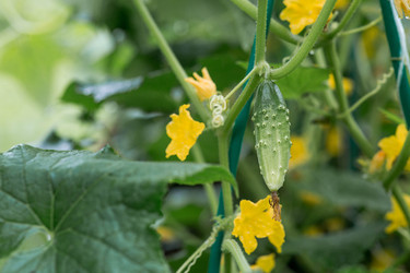 Similar image 22435620