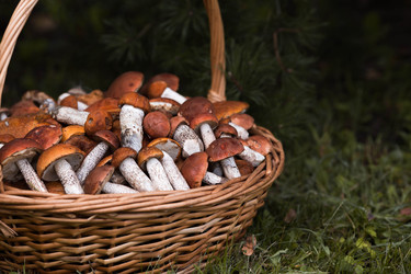 Similar image 22435623