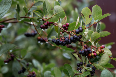 Similar image 22435624