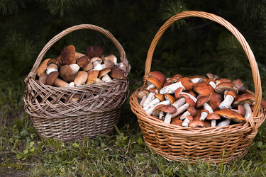 Similar image 22435625