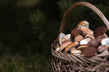 Similar image 22435626