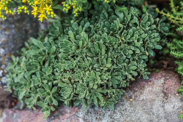 Similar image 22435627