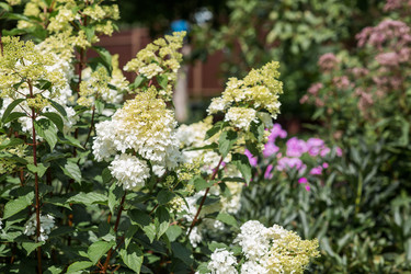 Similar image 22435628