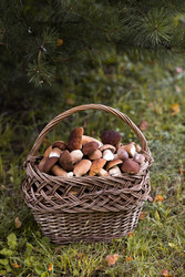 Similar image 22435629