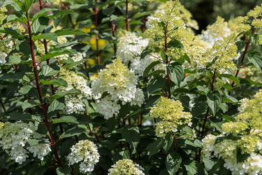 Similar image 22435630