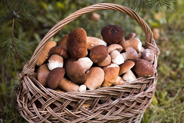 Similar image 22435631