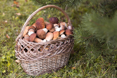 Similar image 22435632