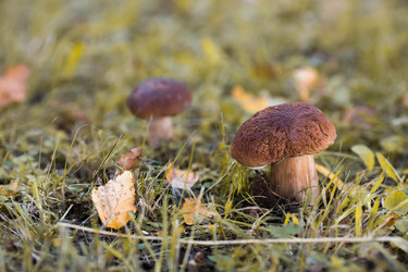 Similar image 22435633