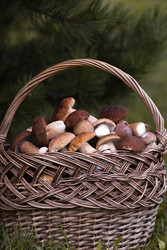 Similar image 22435634