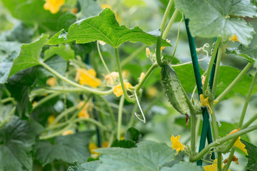 Similar image 22435635