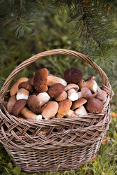 Similar image 22435636