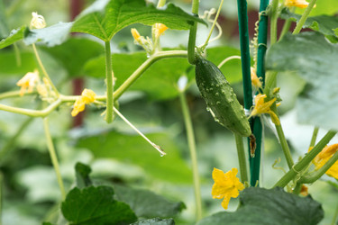 Similar image 22435637