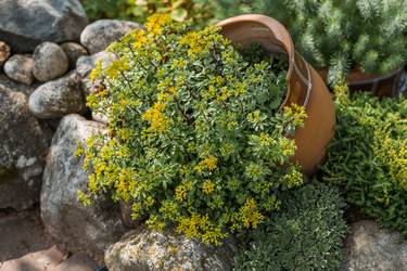 Similar image 22435638