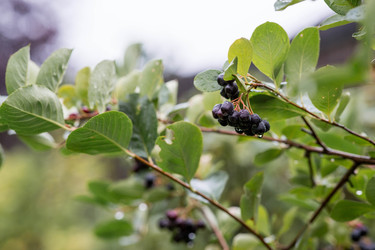 Similar image 22435639