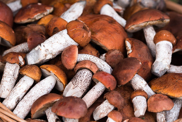 Similar image 22435640