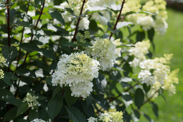 Similar image 22435641