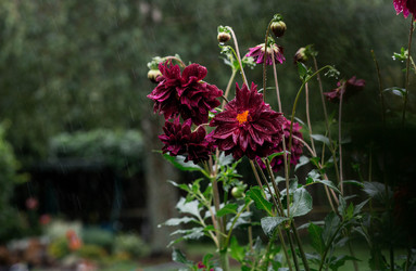 Similar image 22435642