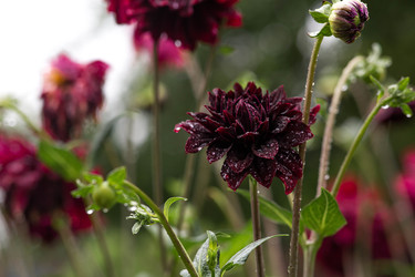 Similar image 22435643