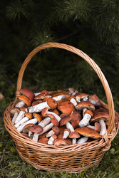 Similar image 22435646