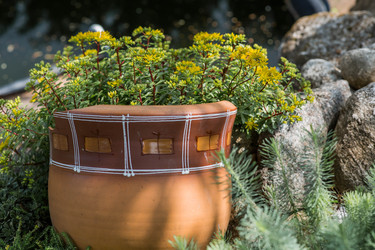 Similar image 22435647