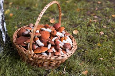 Similar image 22435649