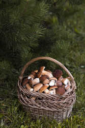 Similar image 22435650