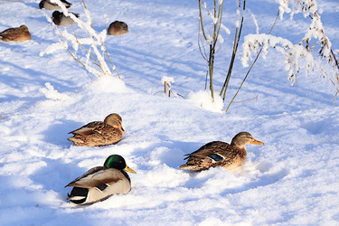 Similar image 22403774