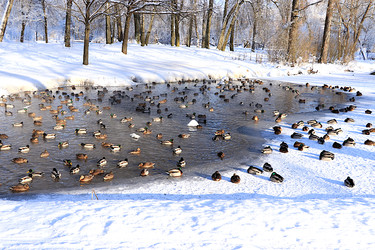 Similar image 22403777