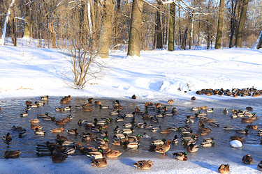 Similar image 22403778