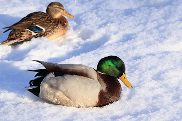 Similar image 22403779