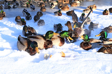 Similar image 22403788