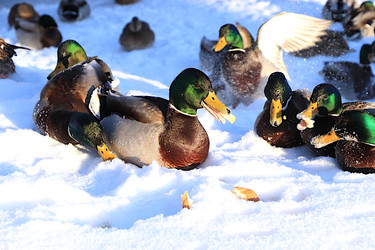 Similar image 22403789