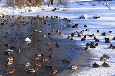 Similar image 22403790