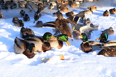 Similar image 22403791