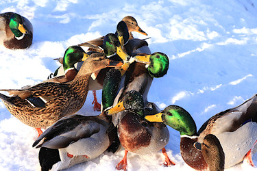 Similar image 22403792