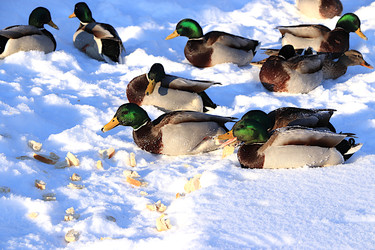 Similar image 22403793