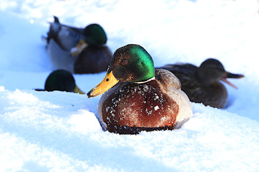 Similar image 22403794